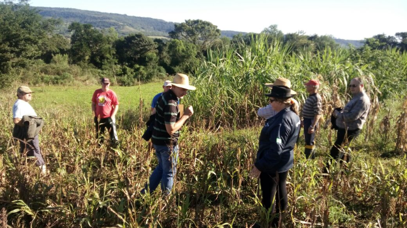 Programa Micro Bacias